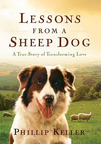 Lessons from a Sheepdog