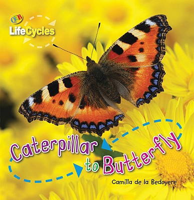 Caterpillar to Butterfly