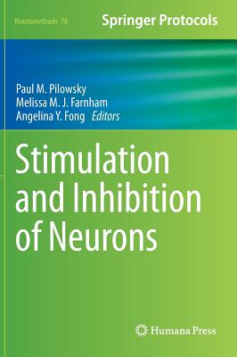 Stimulation and Inhibition of Neurons