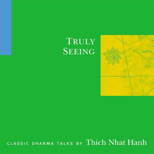 Truly Seeing