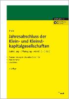 Jahresabschluss der Klein- und Kleinstkapitalgesellschaften