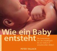 Wie ein Baby entsteht