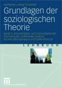 Grundlagen der soziologischen Theorie 3