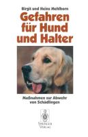 Gefahren Fur Hund Und Halter