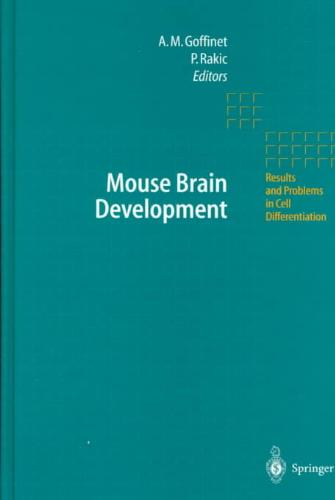 Mouse Brain Development