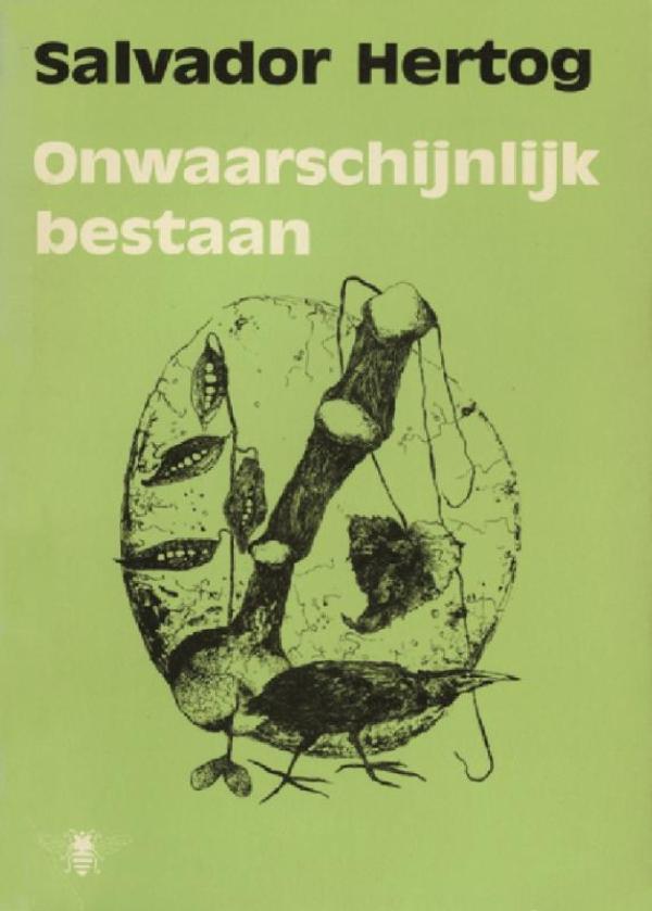 Onwaarschijnlijk bestaan (Ebook)