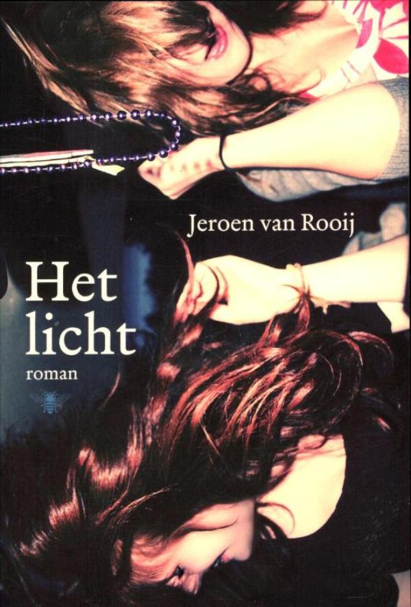 Het licht (Ebook)