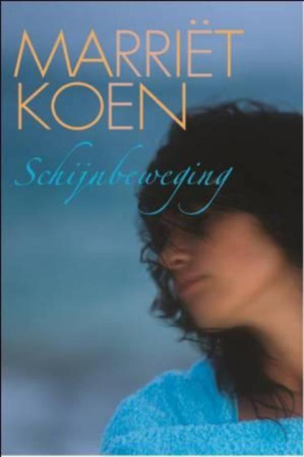 Schijnbeweging (Ebook)