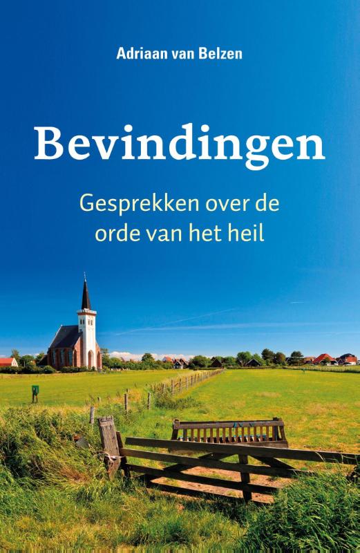 Bevindingen (Ebook)