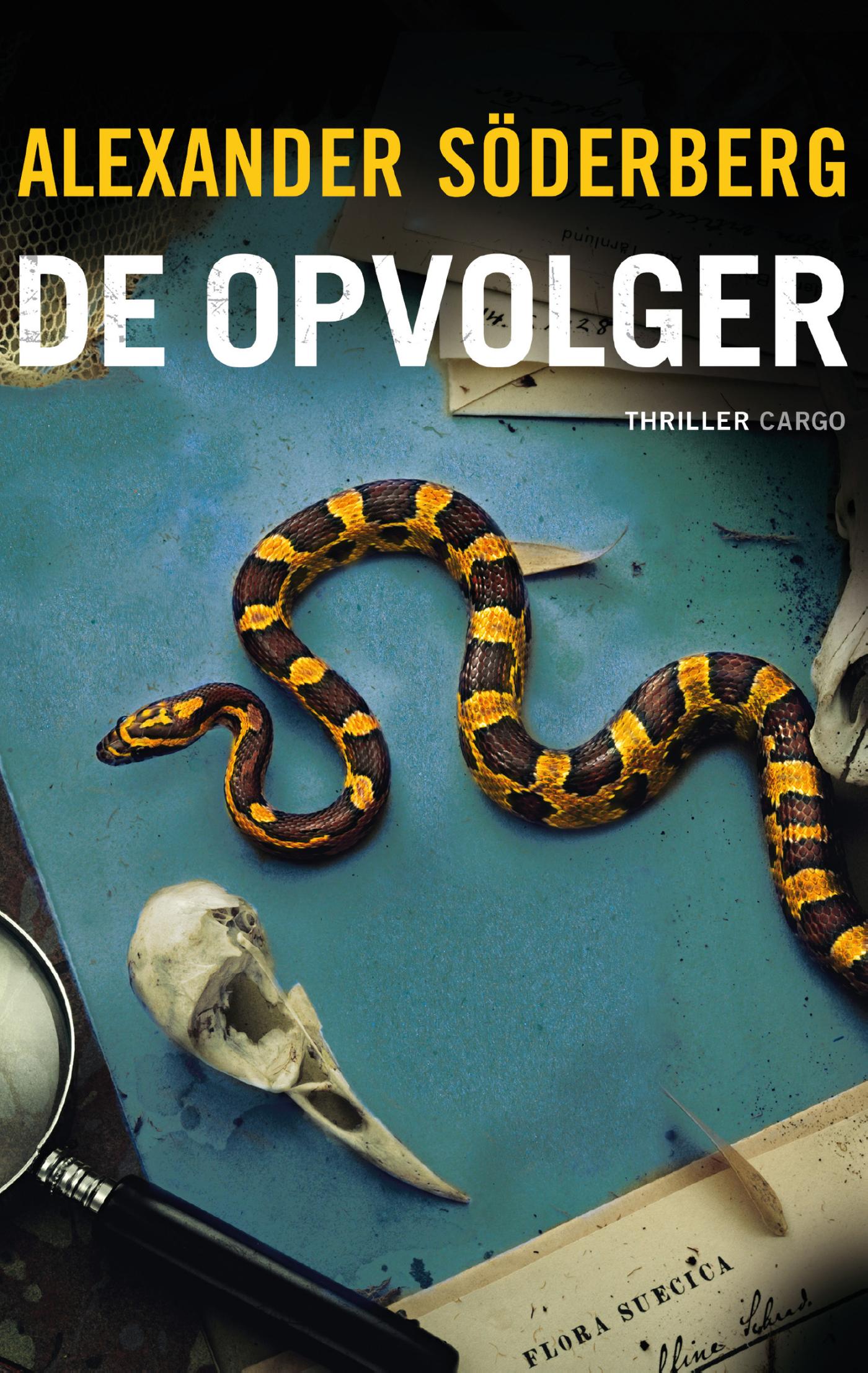 De opvolger (Ebook)