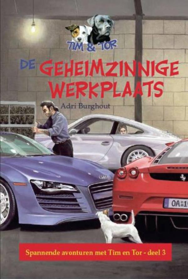 Geheimzinnige werkplaats (Ebook)