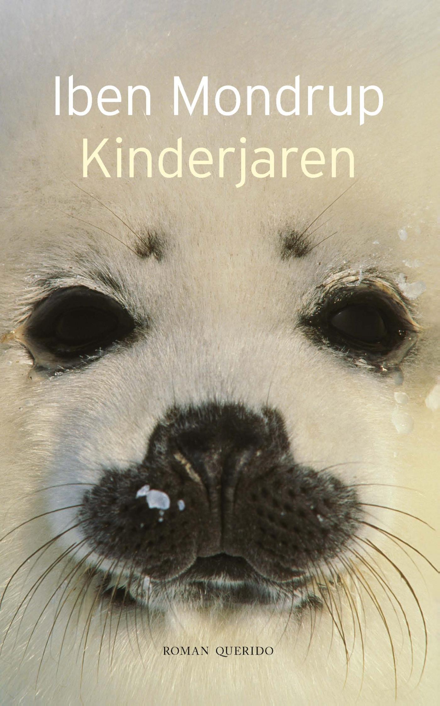 Kinderjaren (Ebook)