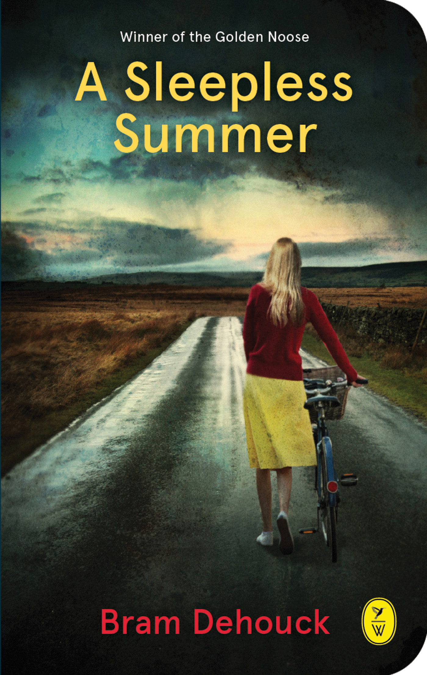 A sleepless Summer (Ebook)