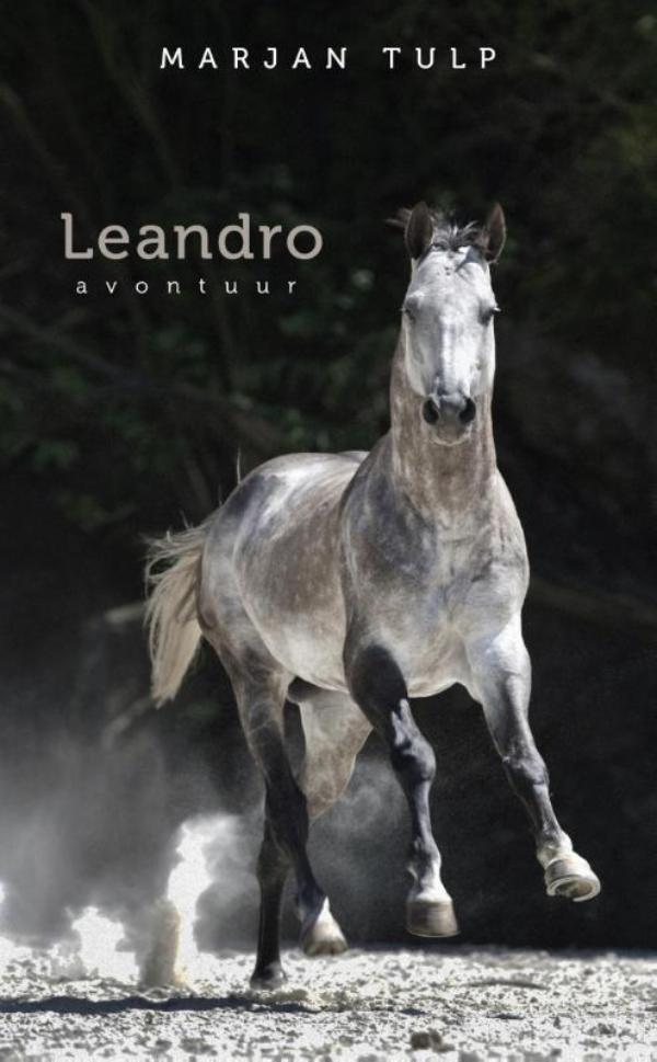 Leandro (Ebook)