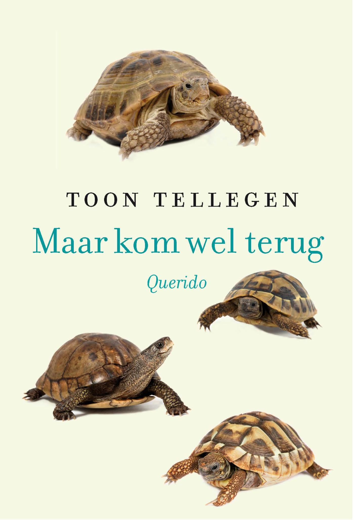 Maar kom wel terug! (Ebook)