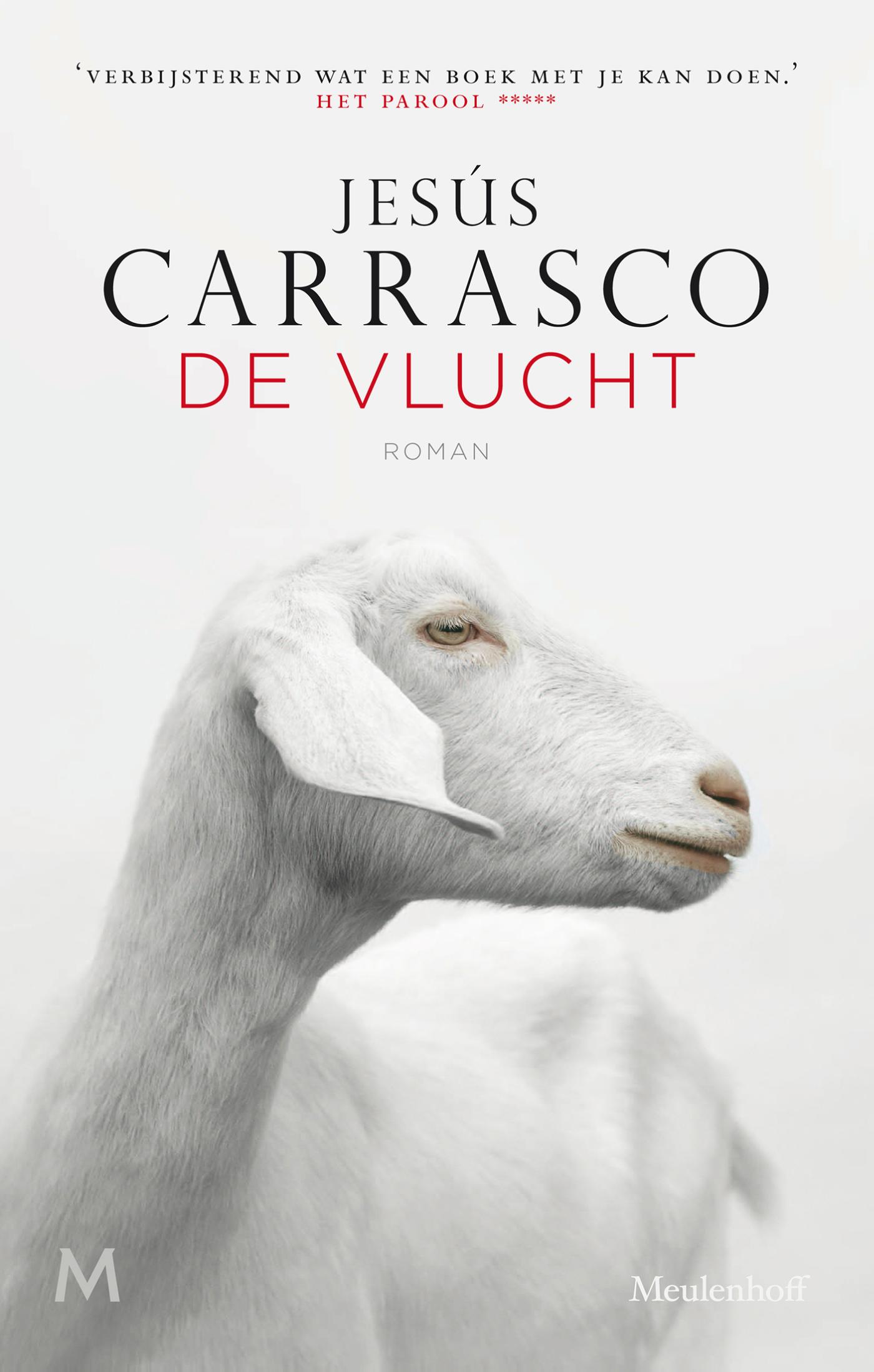 De vlucht (Ebook)