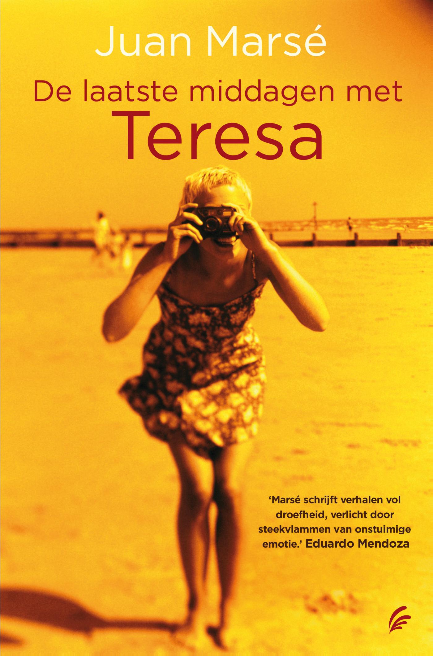De laatste middagen met Teresa (Ebook)