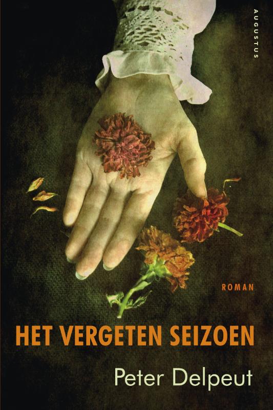 Het vergeten seizoen (Ebook)