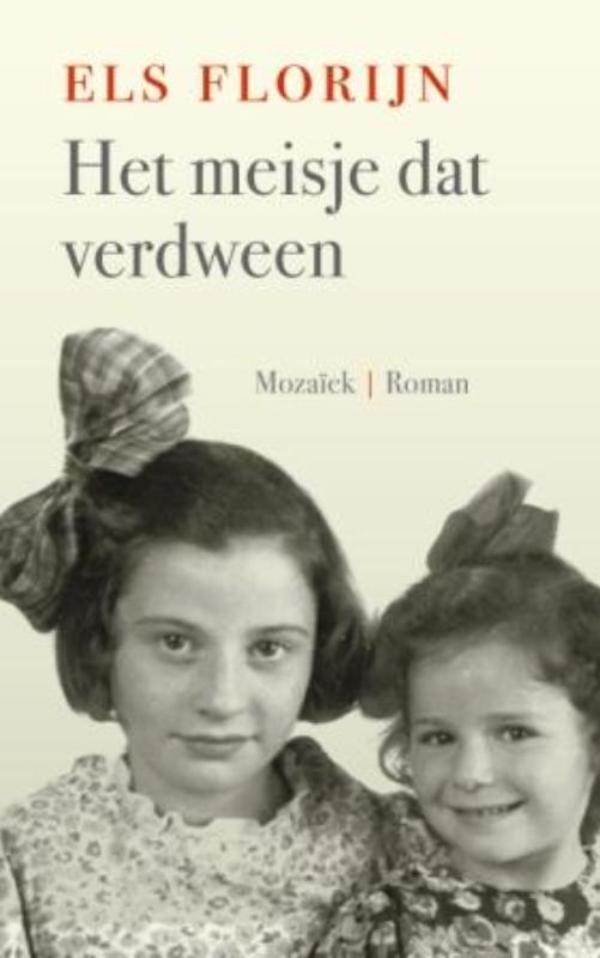 Het meisje dat verdween (Ebook)