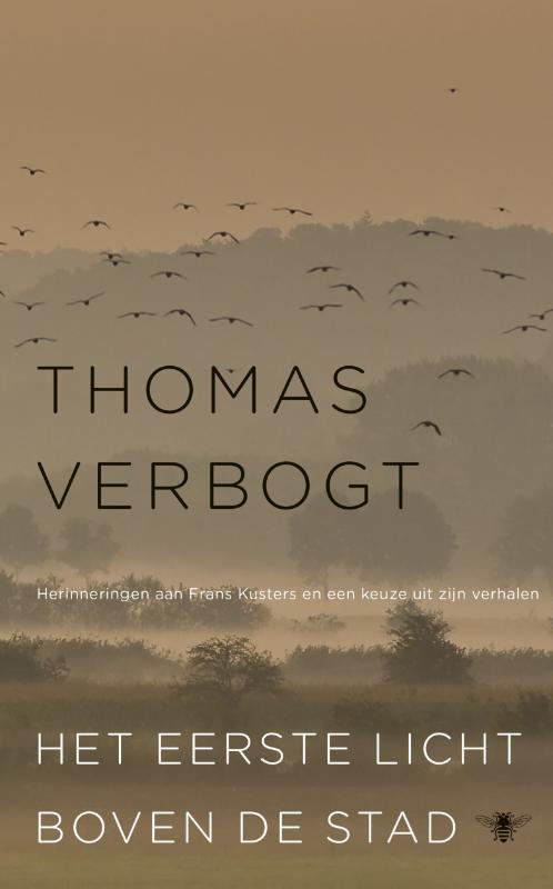 Het eerste licht boven de stad (Ebook)