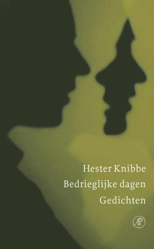 Bedrieglijke dagen (Ebook)