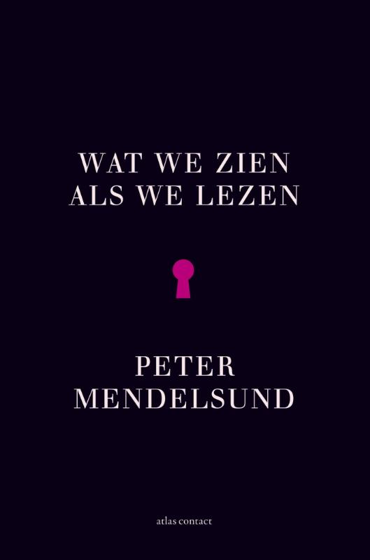 Wat we zien als we lezen (Ebook)