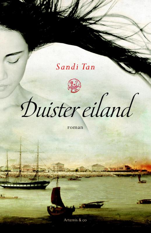 Duister eiland (Ebook)