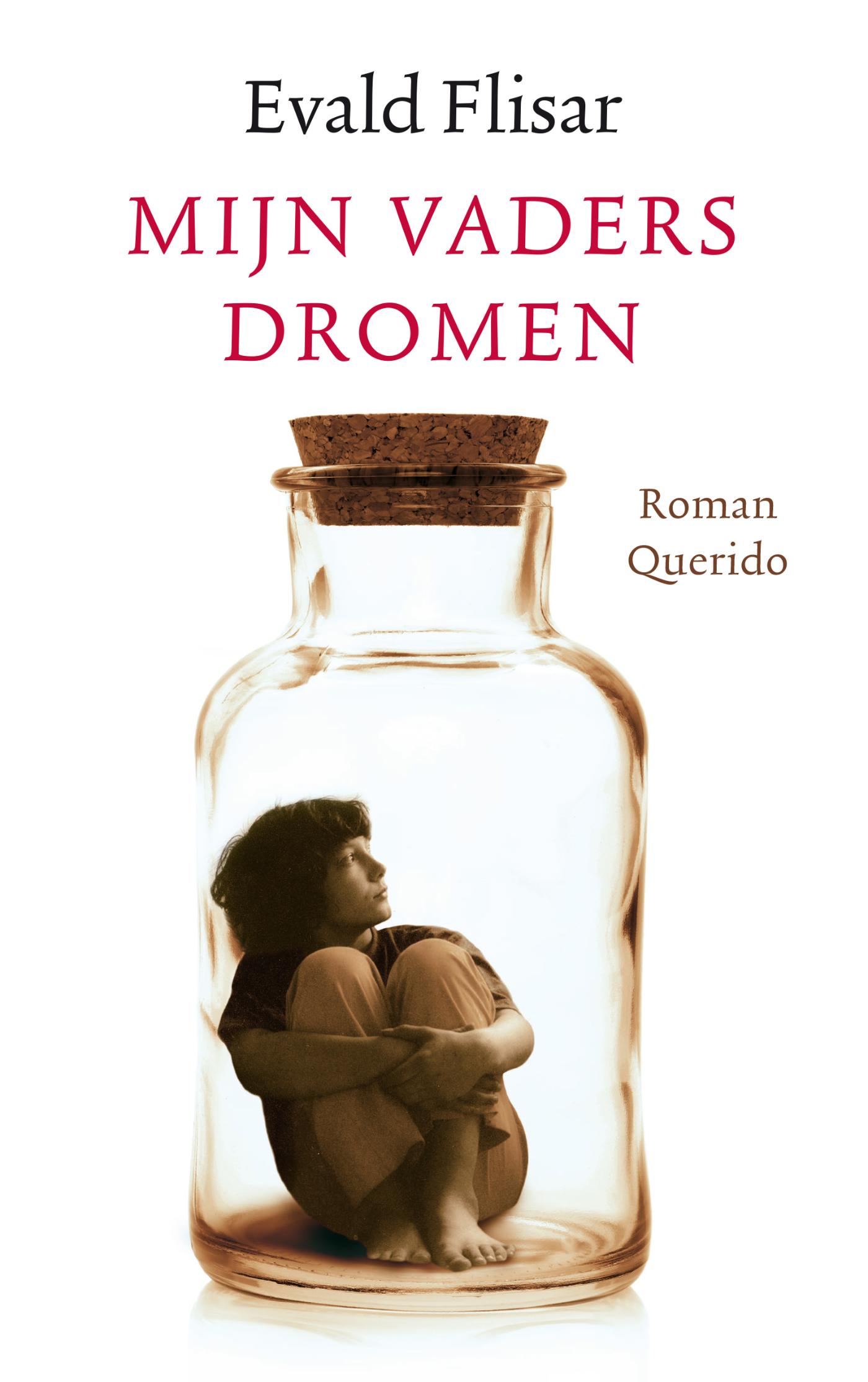 Mijn vaders dromen (Ebook)