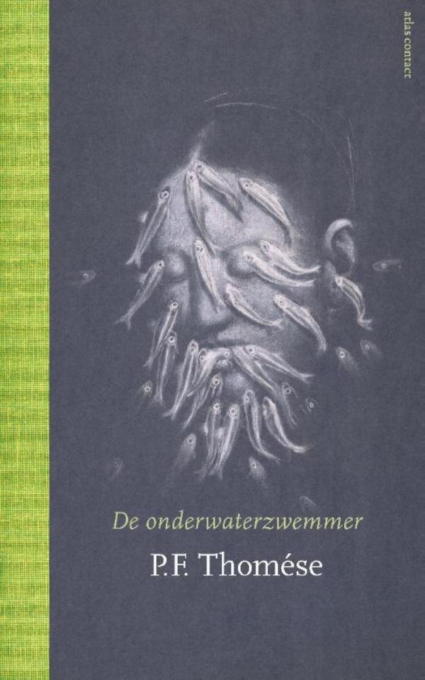 De onderwaterzwemmer (Ebook)