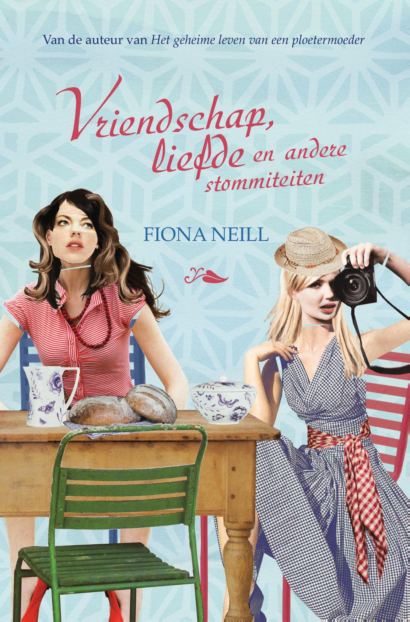 Vriendschap, liefde en andere stommiteiten (Ebook)