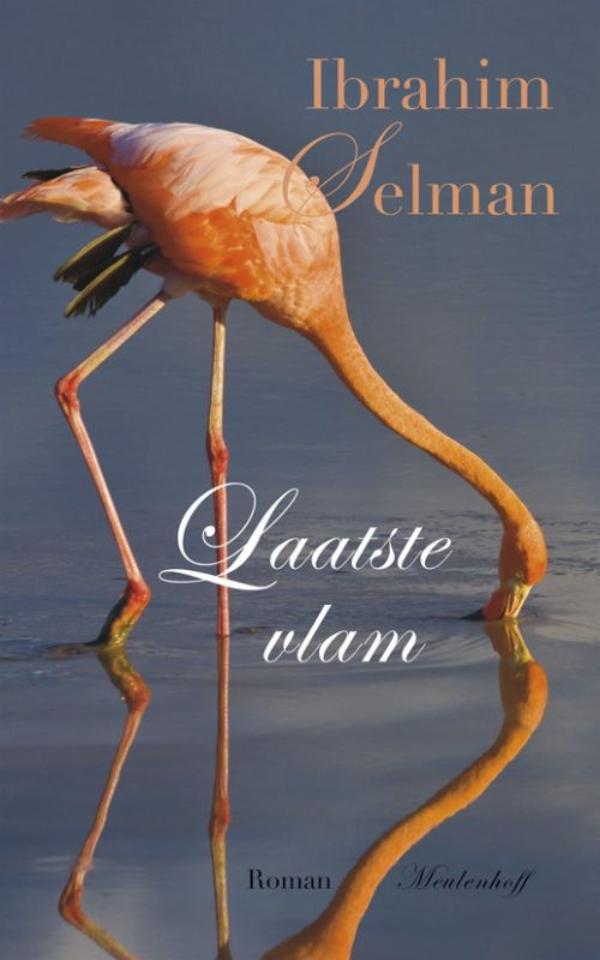 Laatste vlam (Ebook)