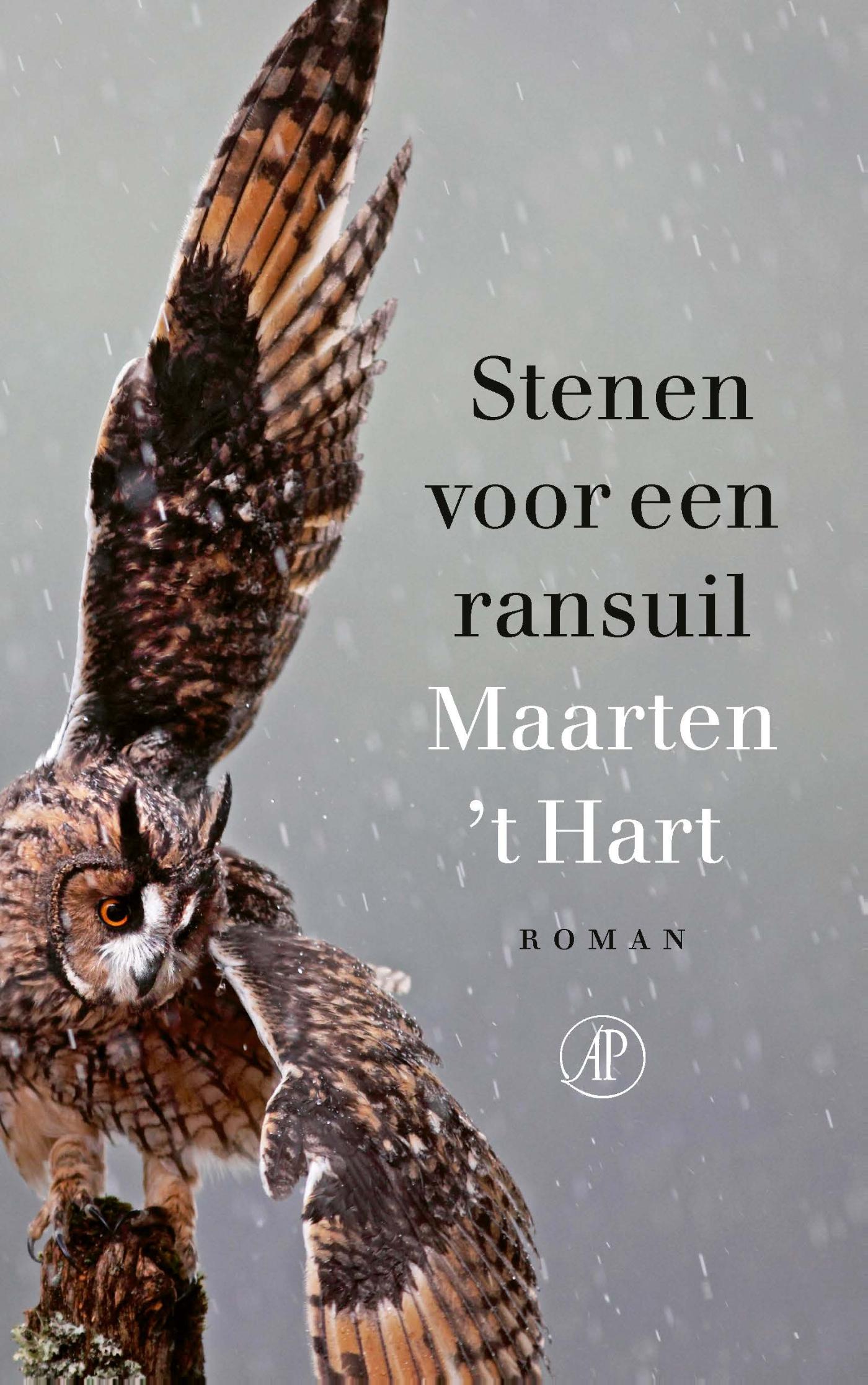 Stenen voor een ransuil (Ebook)