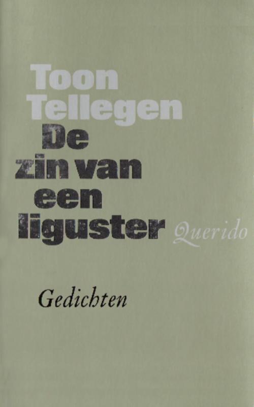 De zin van een liguster (Ebook)