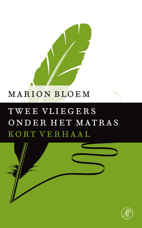 Twee vliegers onder het matras (Ebook)