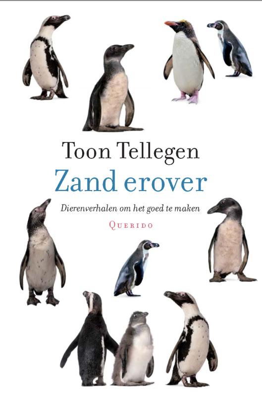 Zand erover (Ebook)