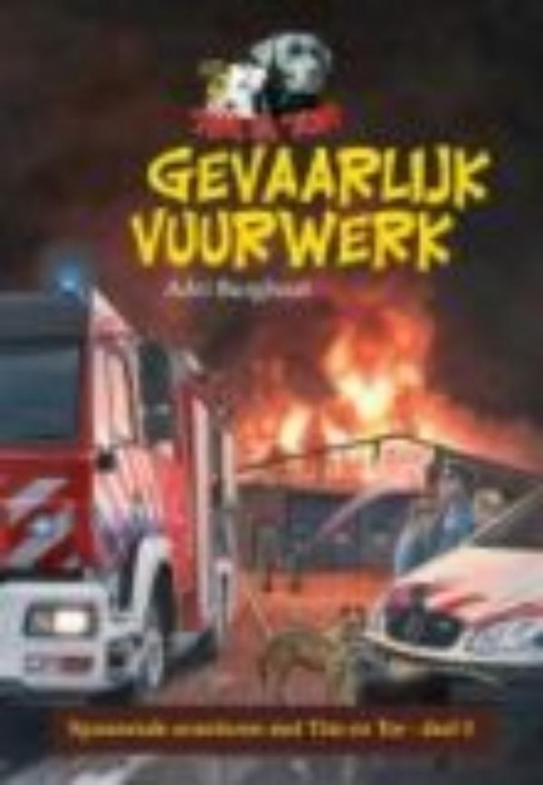 Gevaarlijk vuurwerk (Ebook)