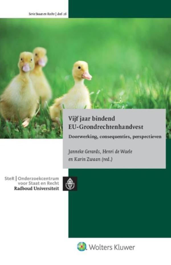 Vijf jaar bindend EU-grondrechtenhandvest (Ebook)