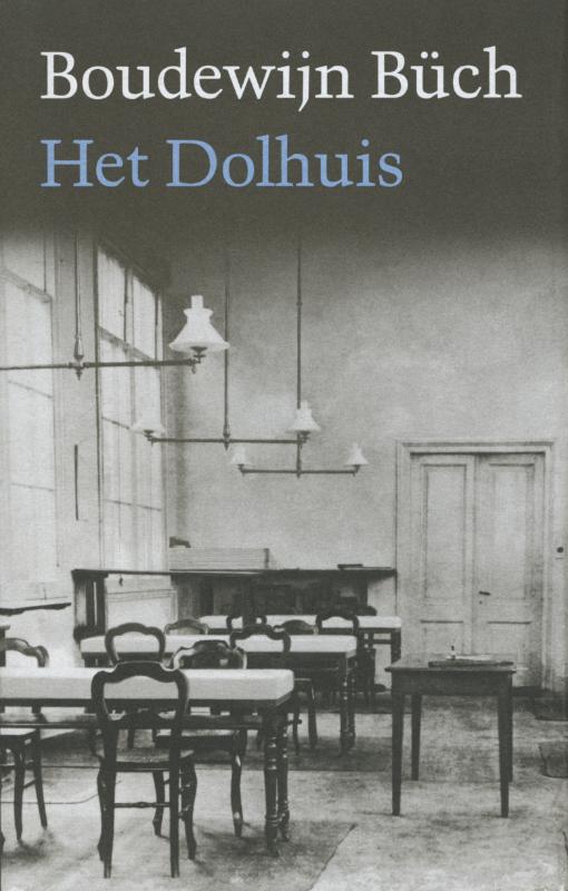 Het Dolhuis (Ebook)