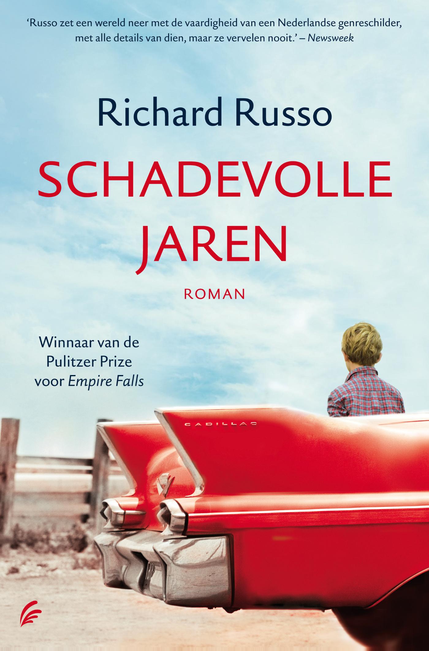 Schadevolle jaren (Ebook)