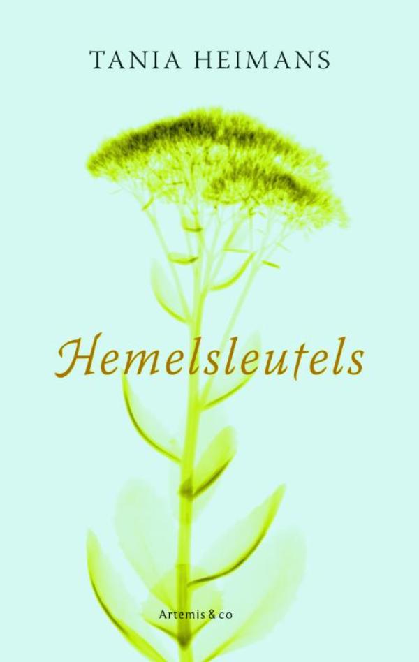 Hemelsleutels (Ebook)