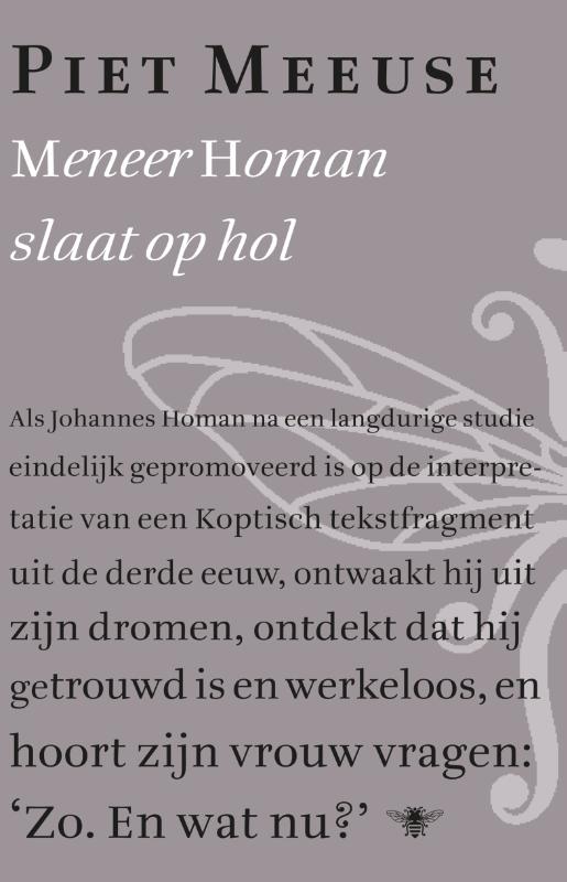 Meneer Homan slaat op hol (Ebook)