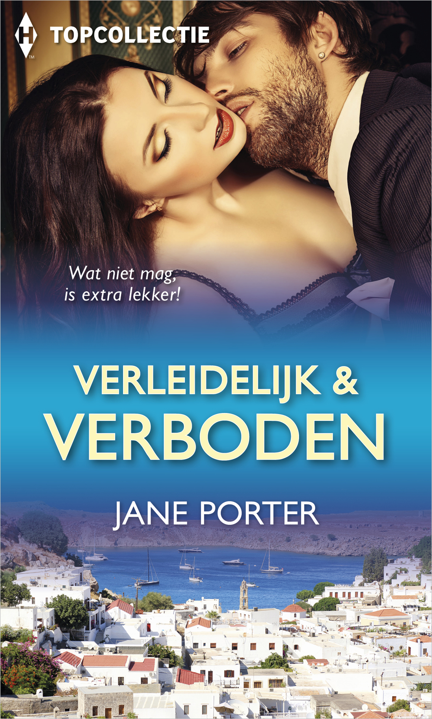 Verleidelijk & verboden (Ebook)