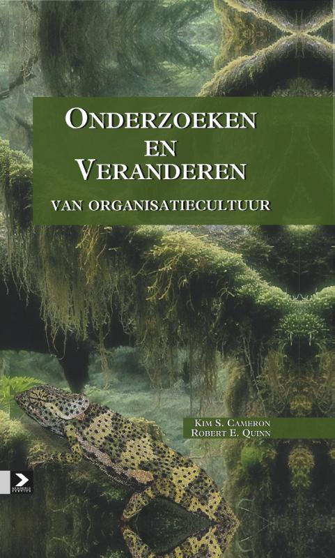 Onderzoeken en veranderen van organisatiecultuur (Ebook)