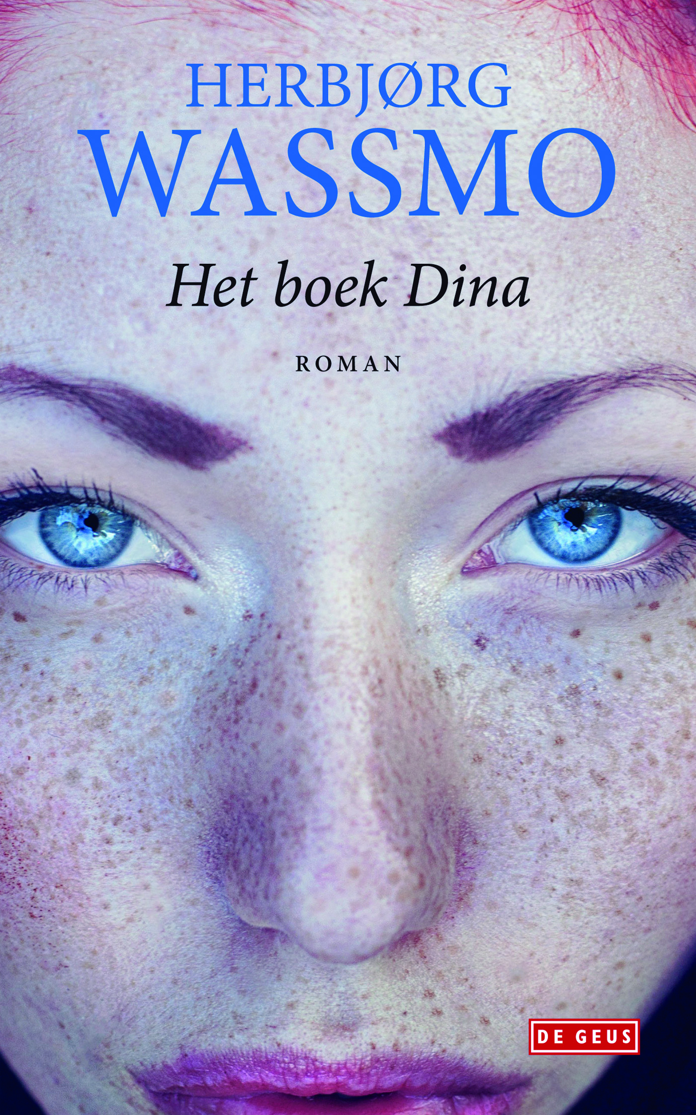 Het boek Dina (Ebook)