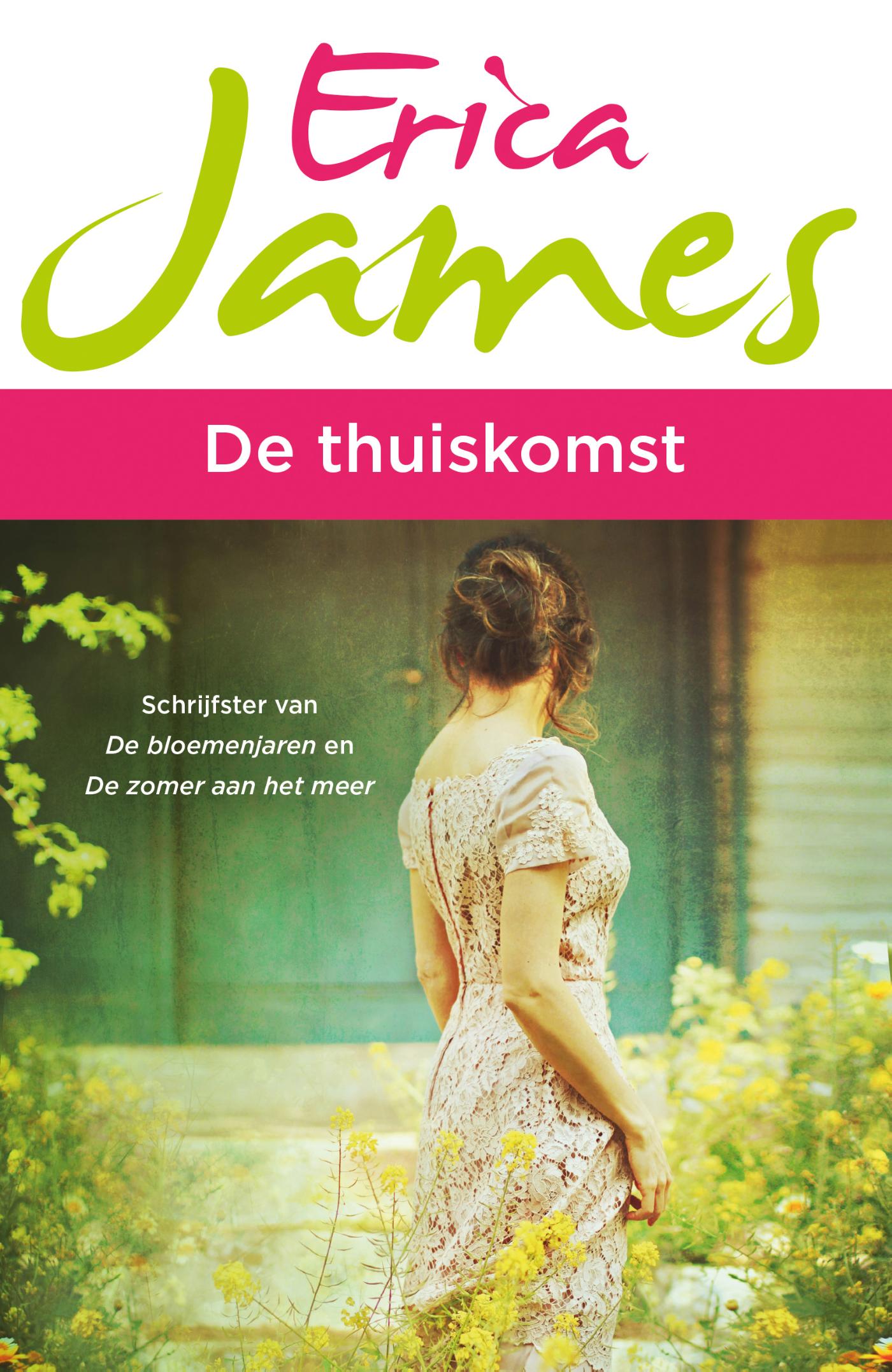 De thuiskomst (Ebook)