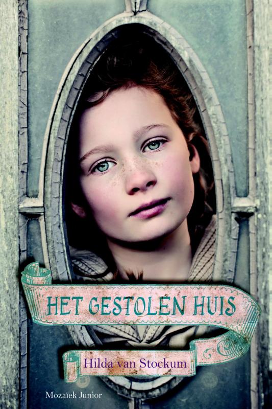 Het gestolen huis (Ebook)