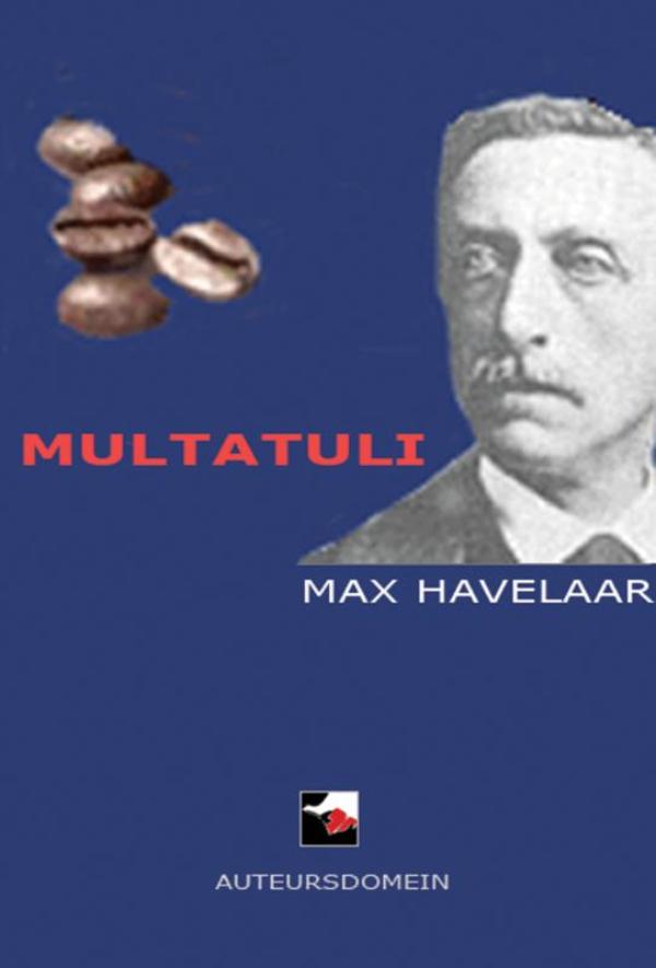 Max Havelaar (Ebook)