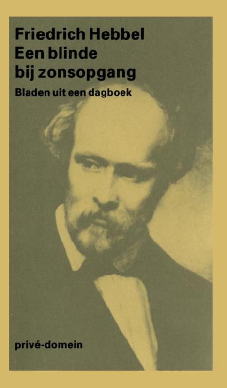 Een blinde bij zonsopgang (Ebook)