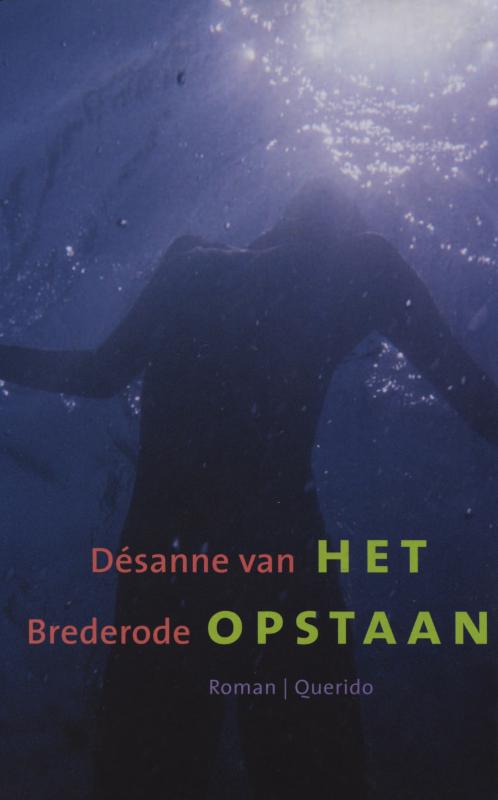 Het opstaan (Ebook)