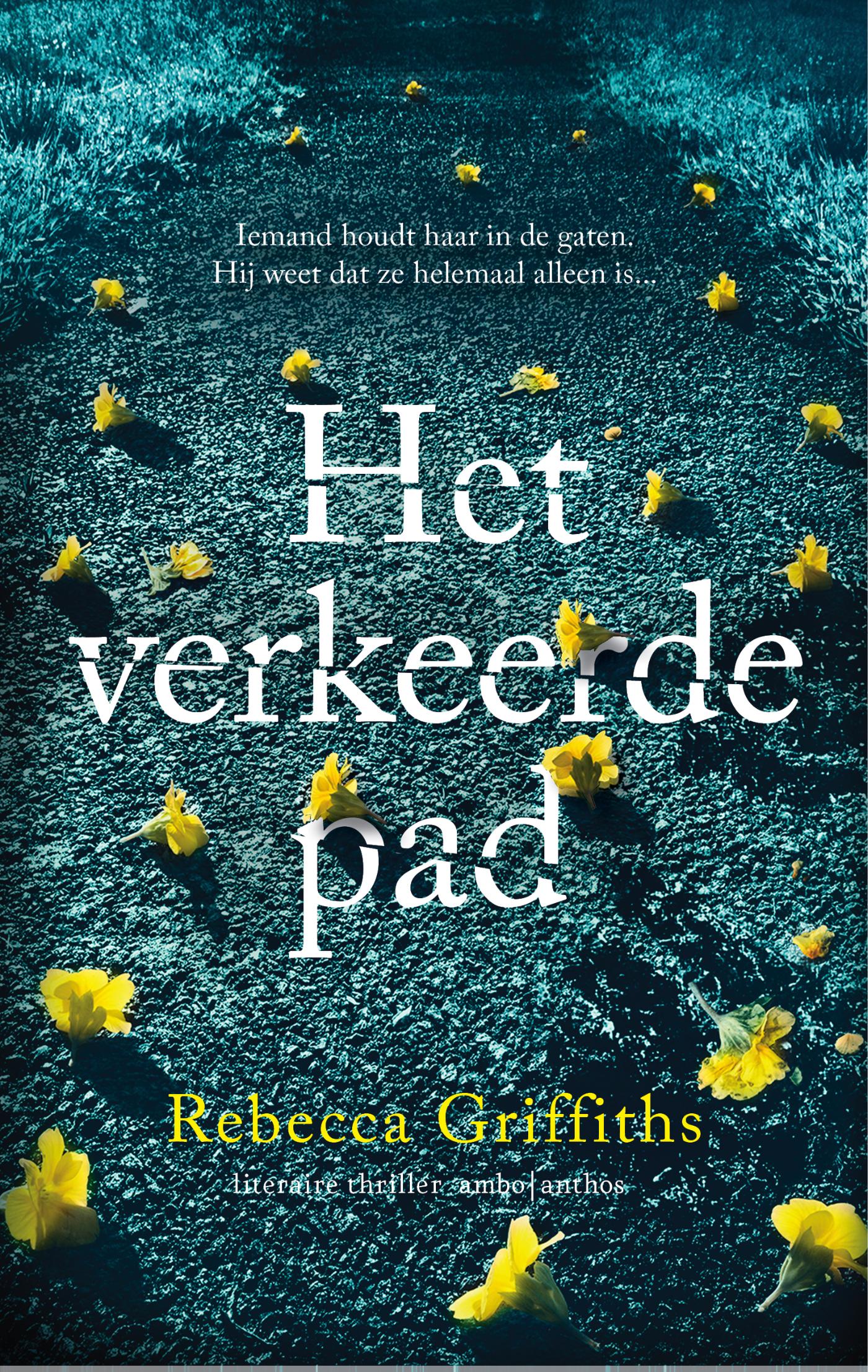 Het verkeerde pad (Ebook)